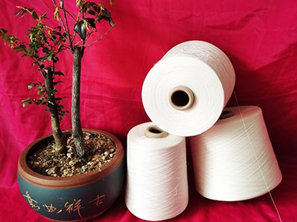 純棉包芯紗60支和80支哪里有