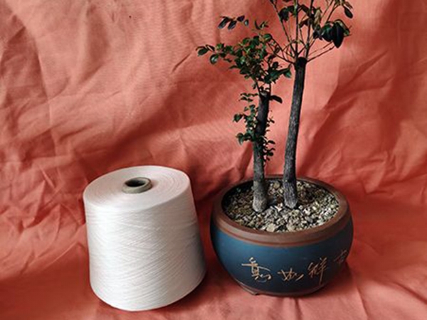 哪里生產(chǎn)竹棉紗21支和竹棉紗32支